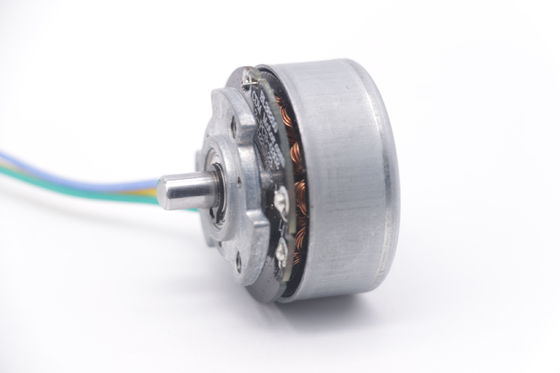 DBL3825 12V 24V BLDC Motor High Torque Fascial Gun Mini DC Brushless Motor