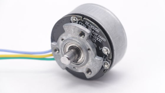 DBL3825 12V 24V BLDC Motor High Torque Fascial Gun Mini DC Brushless Motor