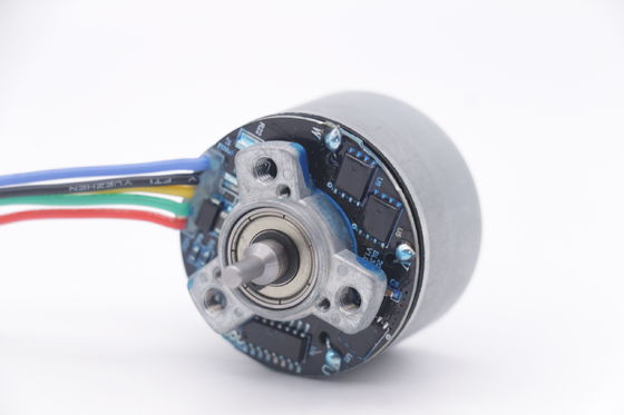 DBL3830O Motor 12v 3500rpm 38mm Outrunner Brushless Motor For Mini Massager Gun