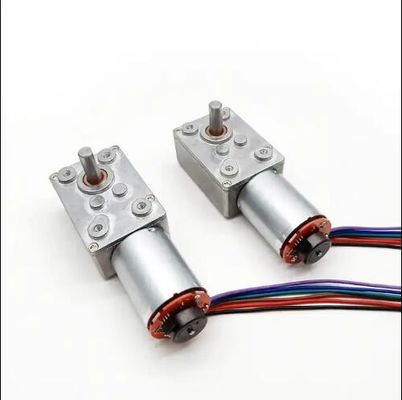High Torque DC Worm Gear Motor Low Speed Power Off Self Locking Motor With Encoder