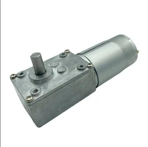 High Torque Brush DC Gear Motor 12V 555 Worm Gear Motor 24V Low Speed
